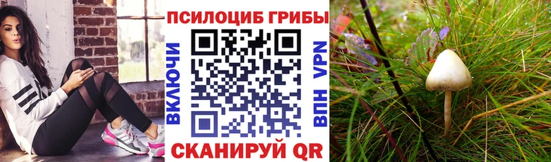 Псилоцибиновые грибы мухоморы  Болохово 
