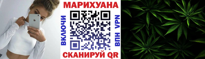 Шишки марихуана сатива  Болохово 
